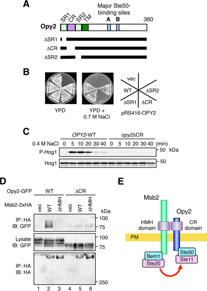 FIG 3