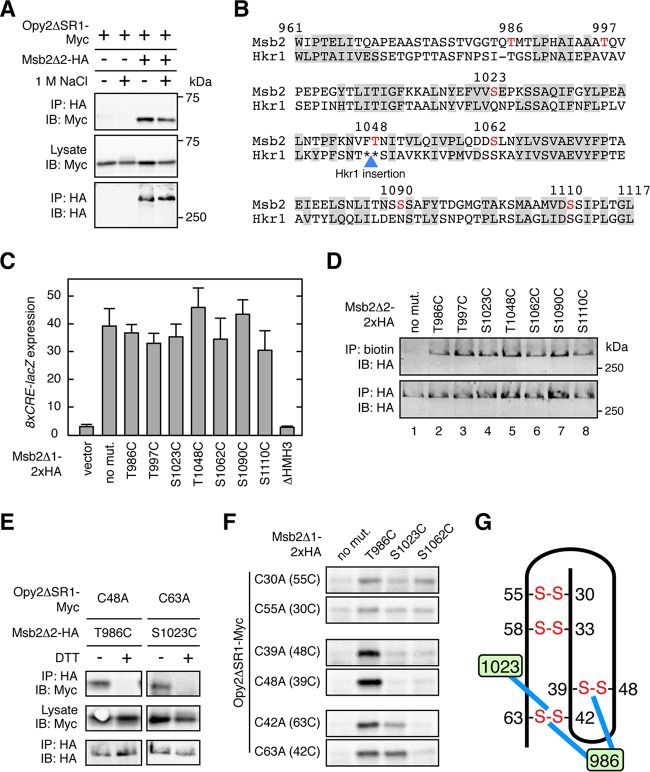 FIG 6