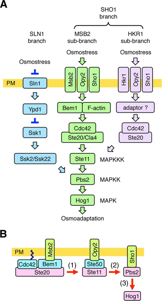 FIG 1