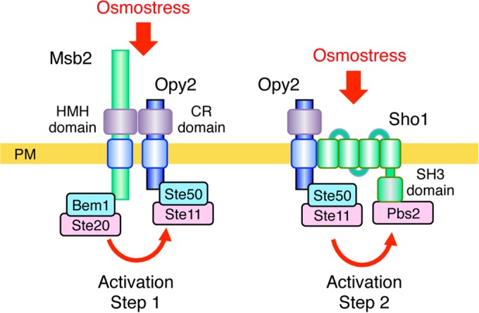 FIG 10