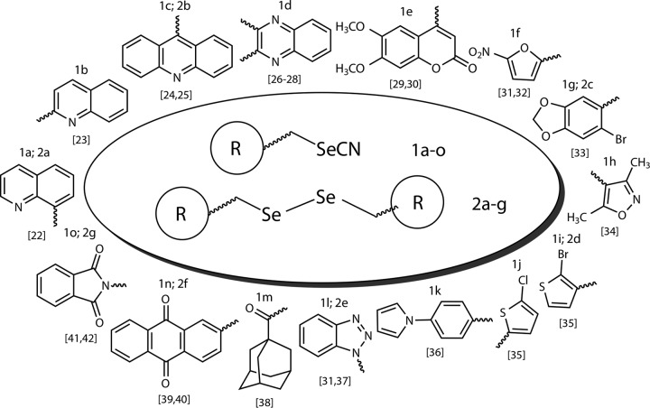 FIG 1