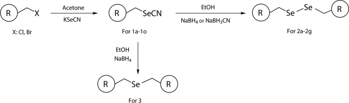 FIG 2