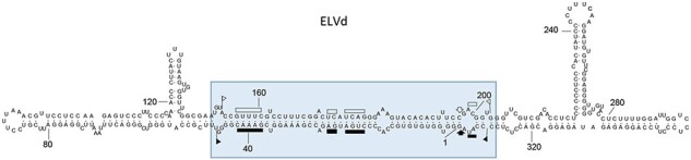 Figure 4.