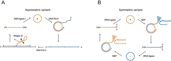 Figure 1.