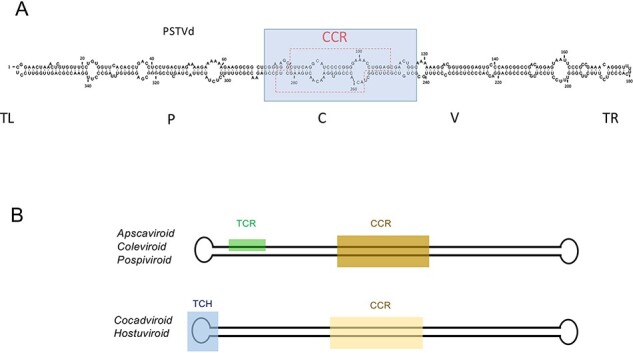 Figure 5.