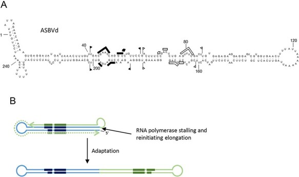 Figure 2.