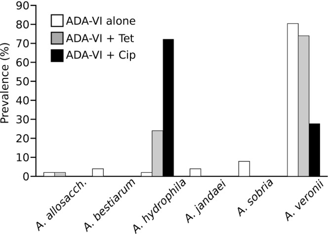 FIG 2