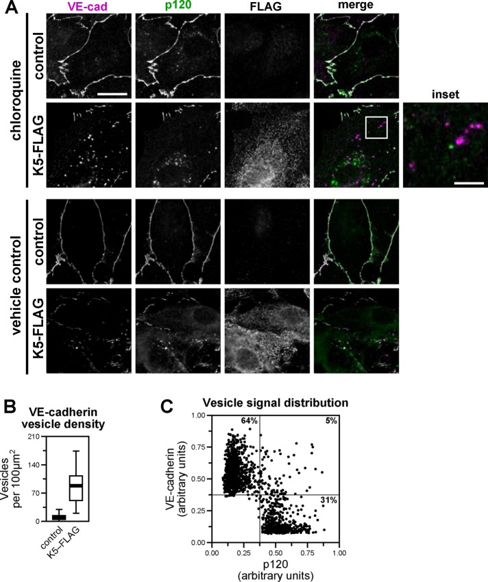 FIGURE 6: