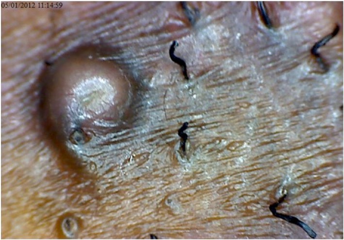 Figure 7