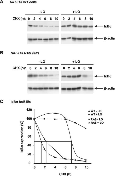 FIG. 5.