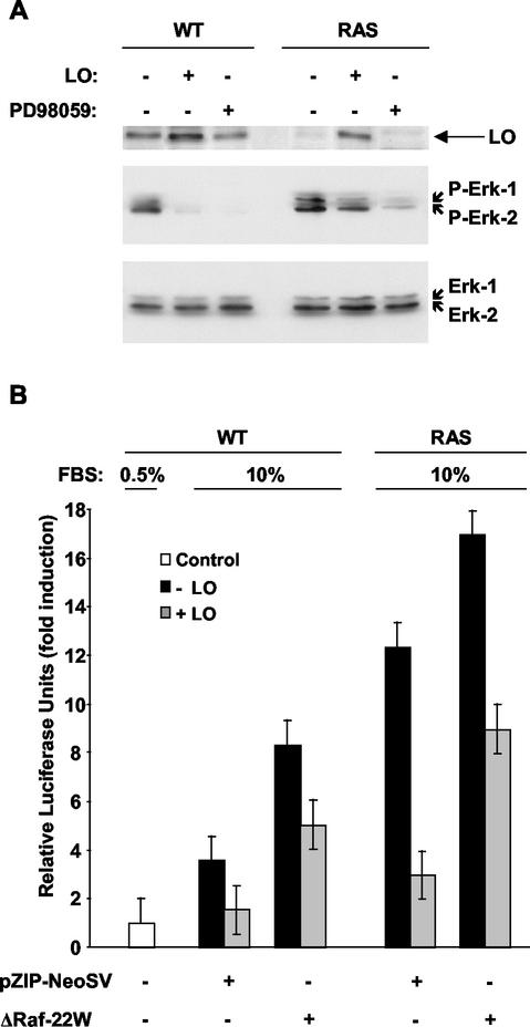 FIG. 9.