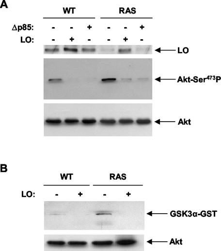 FIG. 10.