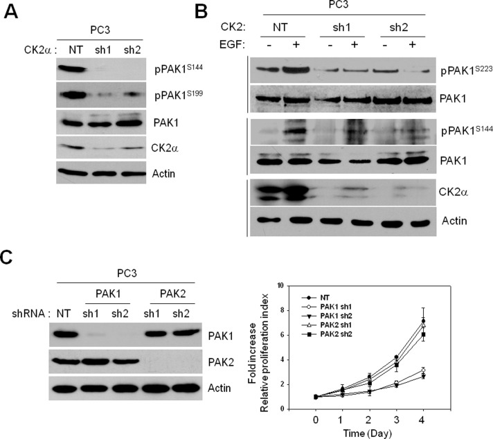 FIGURE 5: