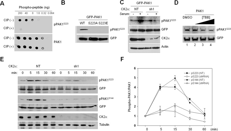 FIGURE 3: