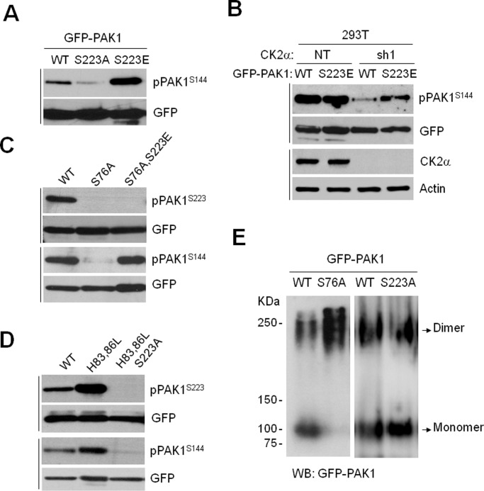 FIGURE 4: