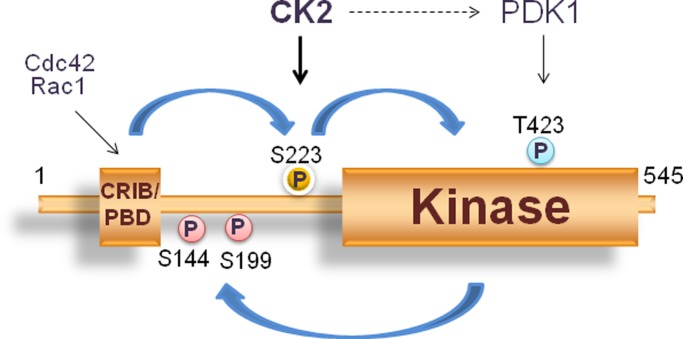 FIGURE 7: