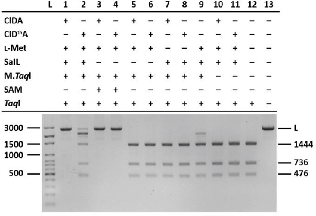 Fig. 5