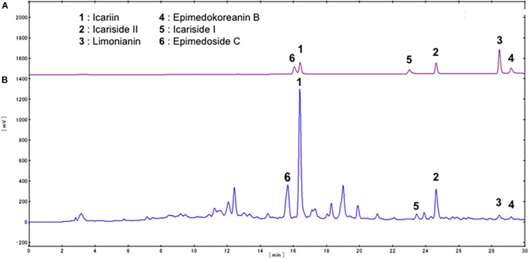 FIGURE 3