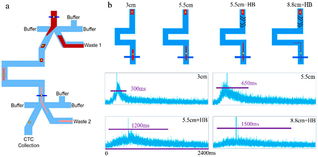 graphic file with name nihms-1861516-f0006.jpg