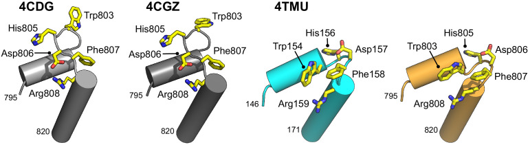 Figure 4—figure supplement 1.