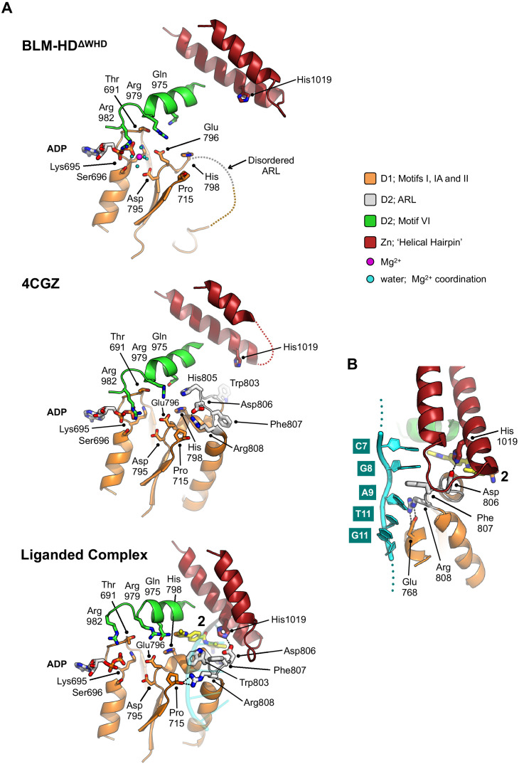 Figure 4.