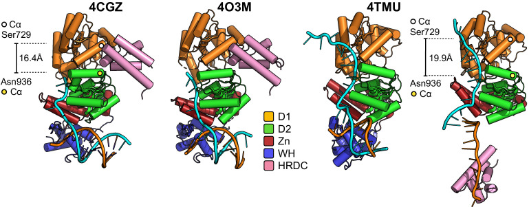 Figure 4—figure supplement 3.