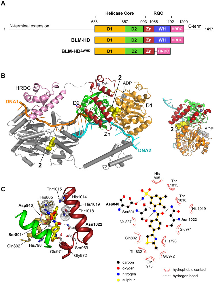 Figure 3.