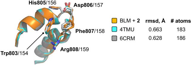 Figure 4—figure supplement 2.