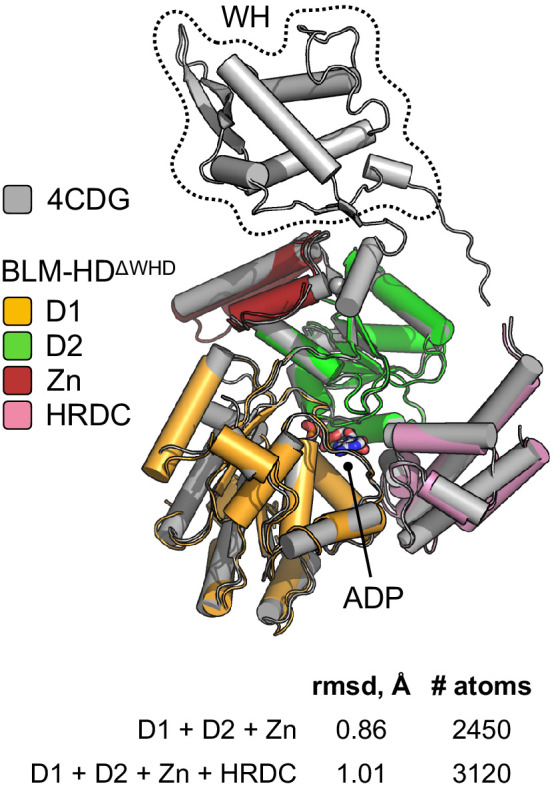 Figure 3—figure supplement 1.