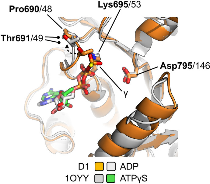 Figure 6—figure supplement 1.