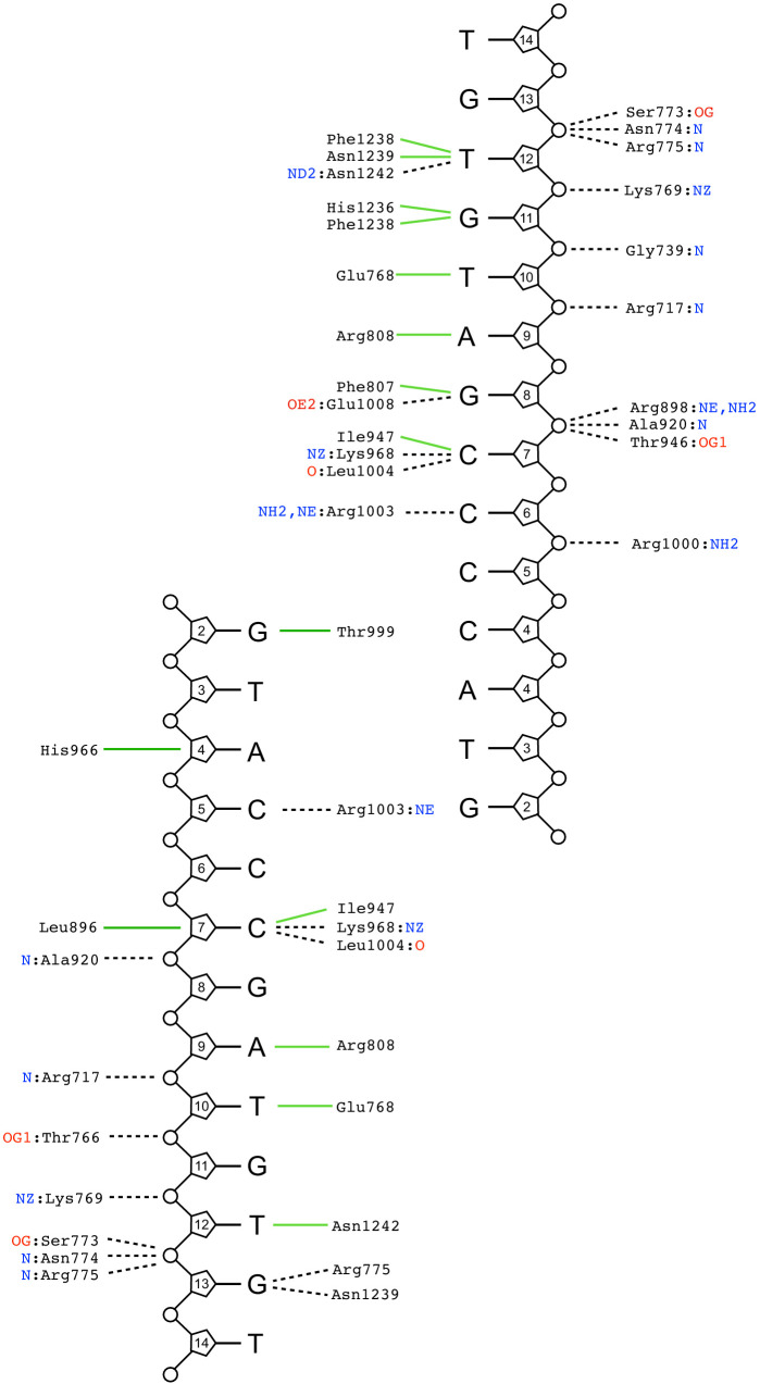 Figure 3—figure supplement 3.