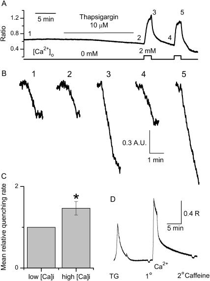 FIGURE 4