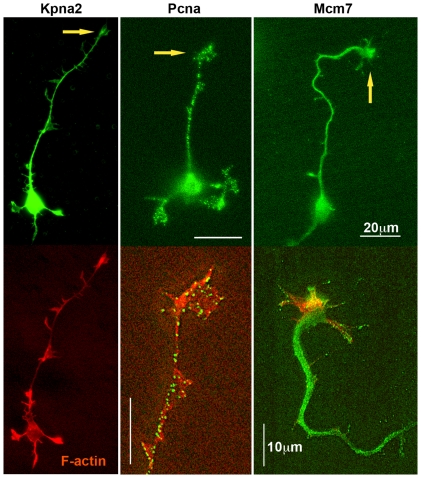 Figure 14