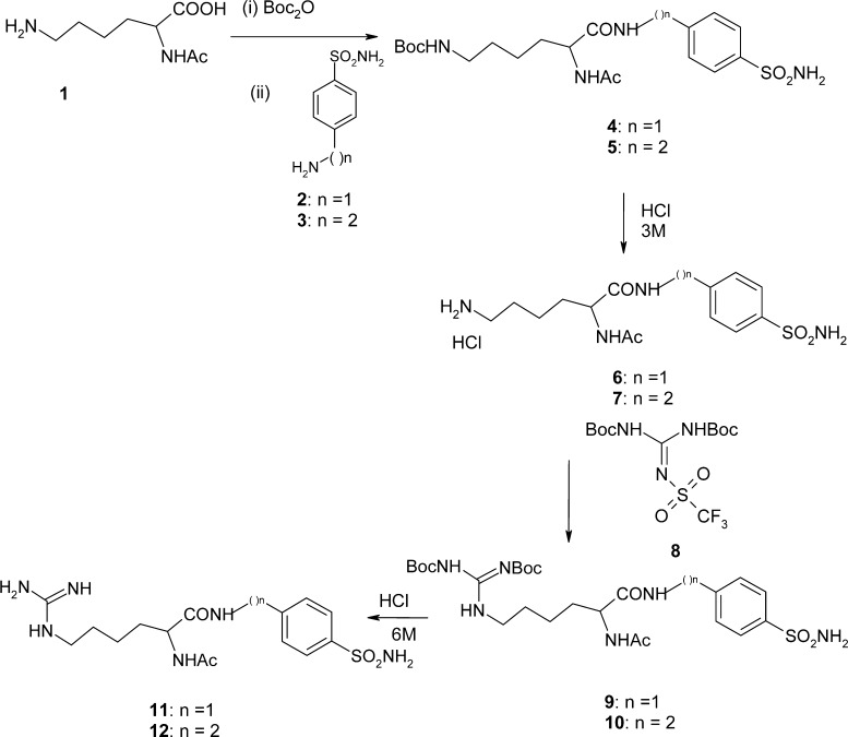 Scheme 1