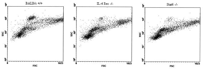 FIG. 5