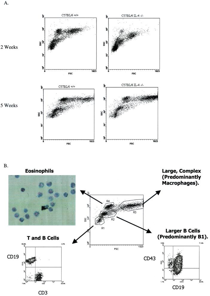 FIG. 4