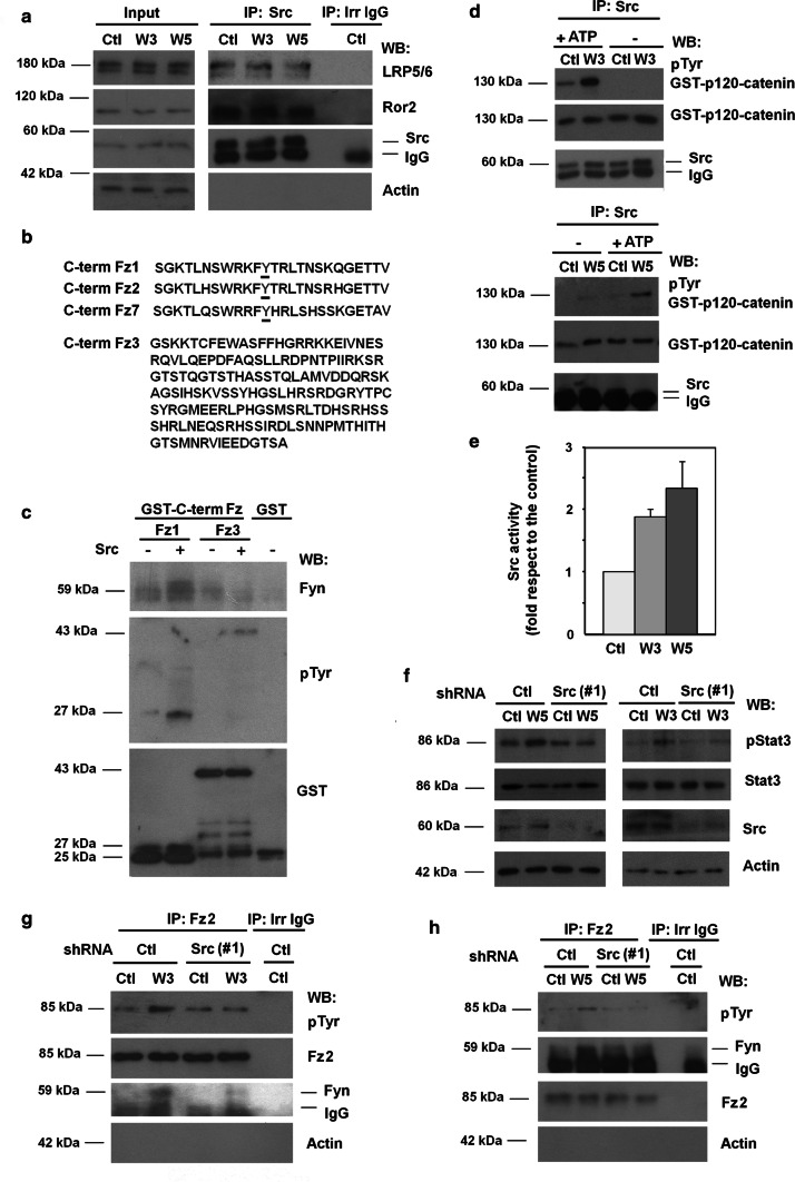 Fig. 3