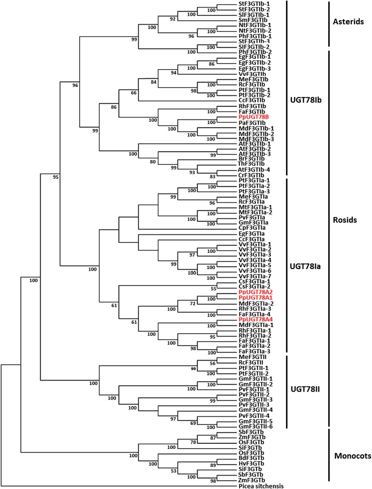 Figure 7.