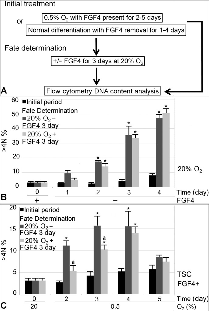 FIG. 6