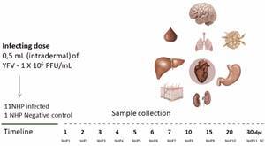 Fig. 1: