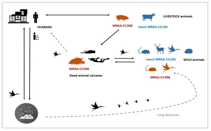 Figure 5