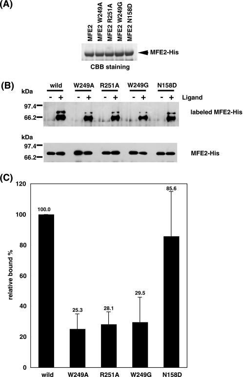 FIGURE 7.