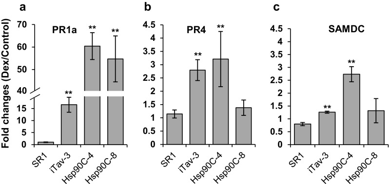 Fig. 8