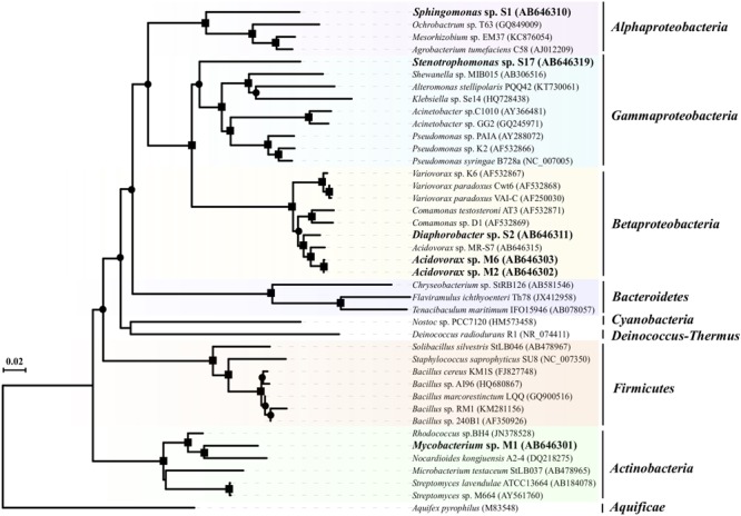 FIGURE 2