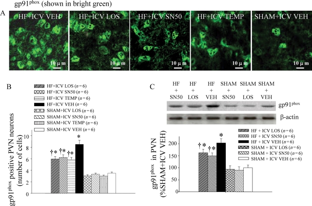 Figure 6