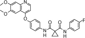 graphic file with name dddt-10-2443Fig14.jpg