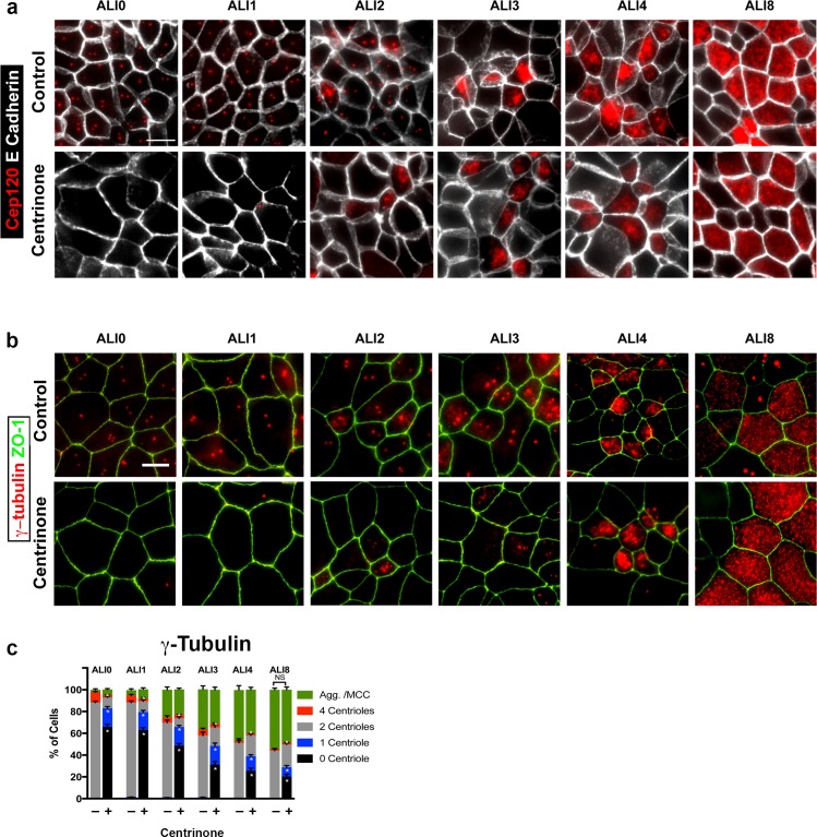 Figure 2—figure supplement 2.