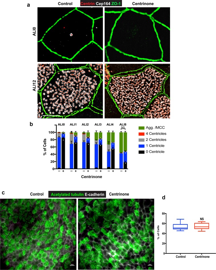 Figure 2—figure supplement 3.