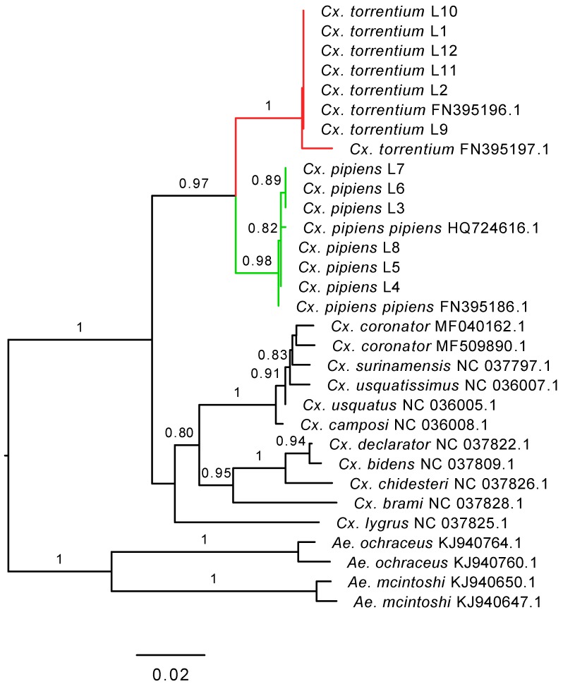 Figure 7