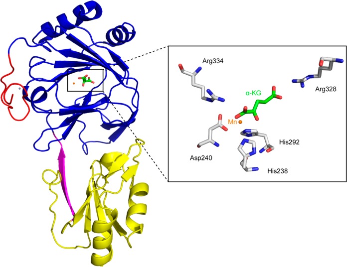 Figure 11